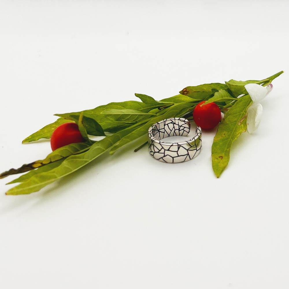 Anillo Güell - Inaianei