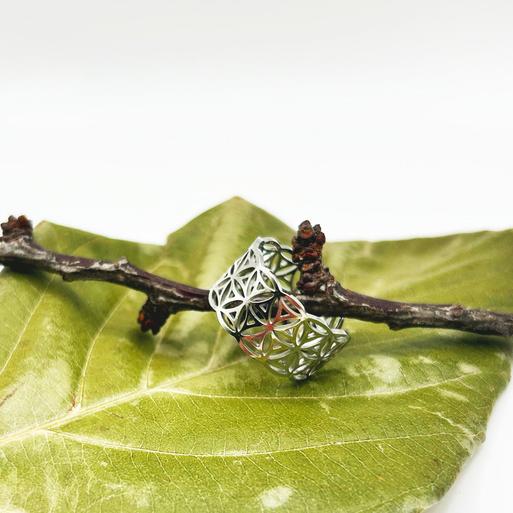 Anillo Ylva