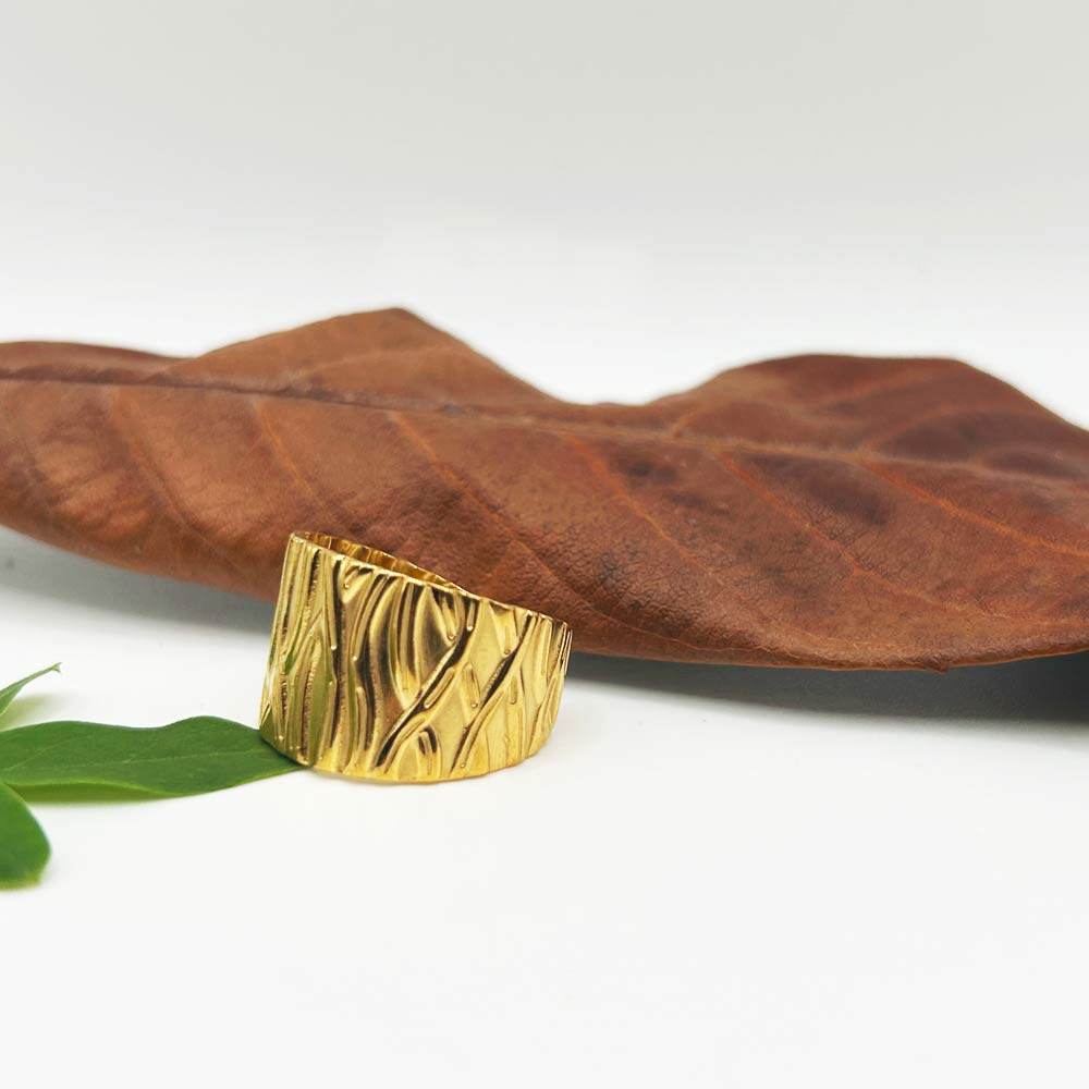 Anillo Zelaris - Inaianei