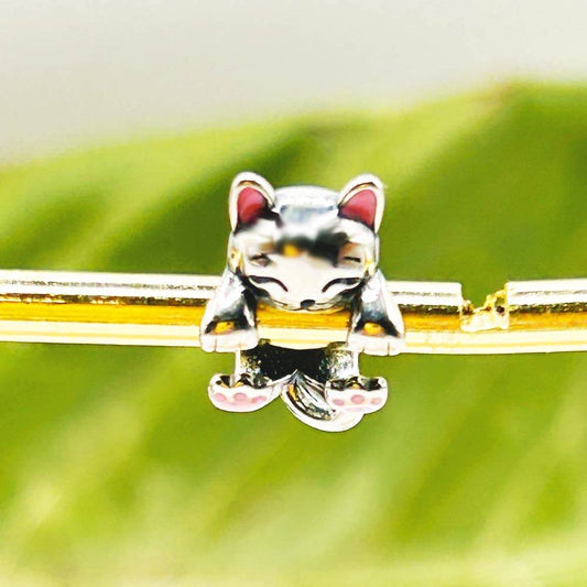 Charm Vani - Inaianei