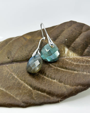 Pendientes Usha