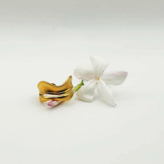 Anillo Mahi - Inaianei