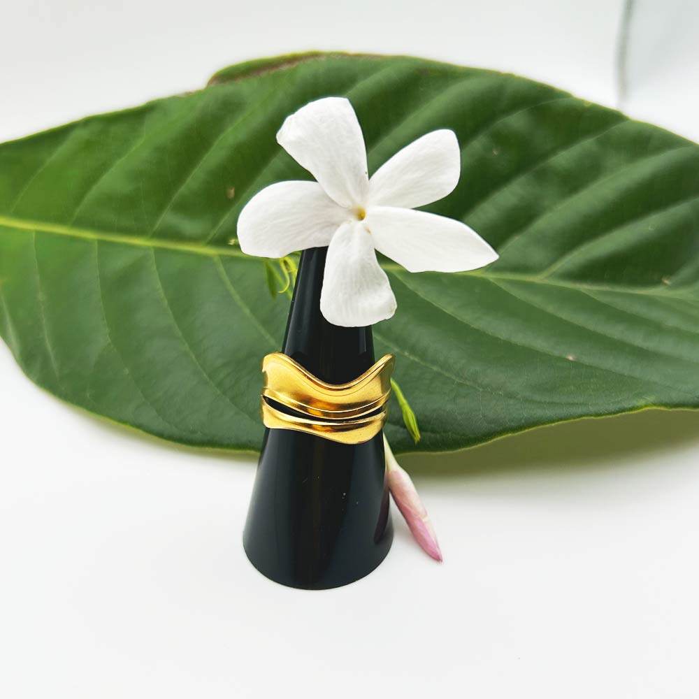 Anillo Mahi - Inaianei