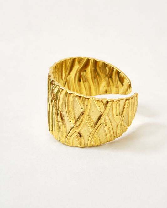 Anillo Zelaris