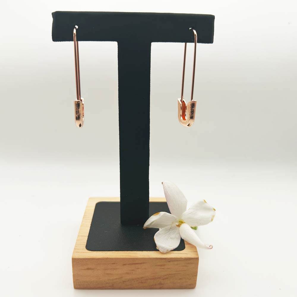 Pendientes Roa - Inaianei